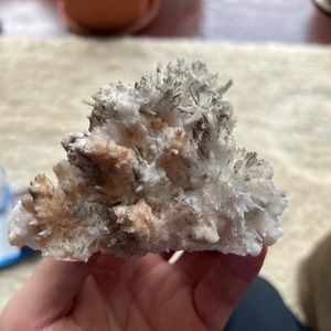 XL Aragonite